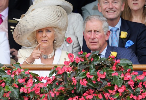 Camilla Parker-Bowles Warns Meghan Markle Not To Marry Prince Harry