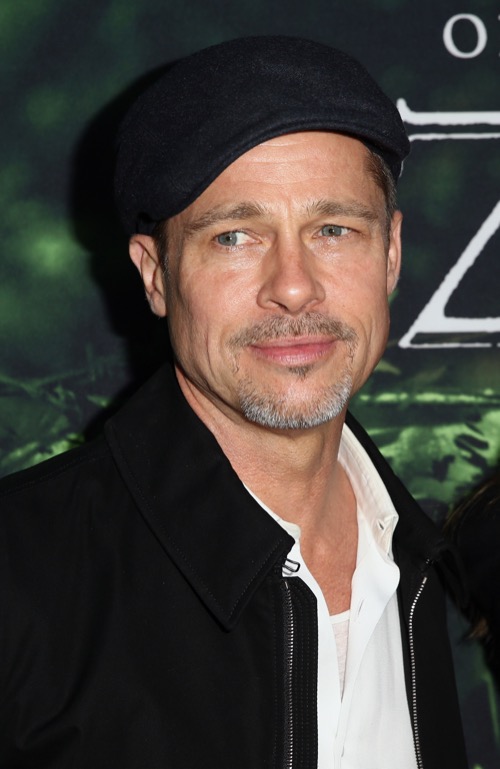Brad Pitt and Angelina Jolie Getting Along Wonderfully Say Friends