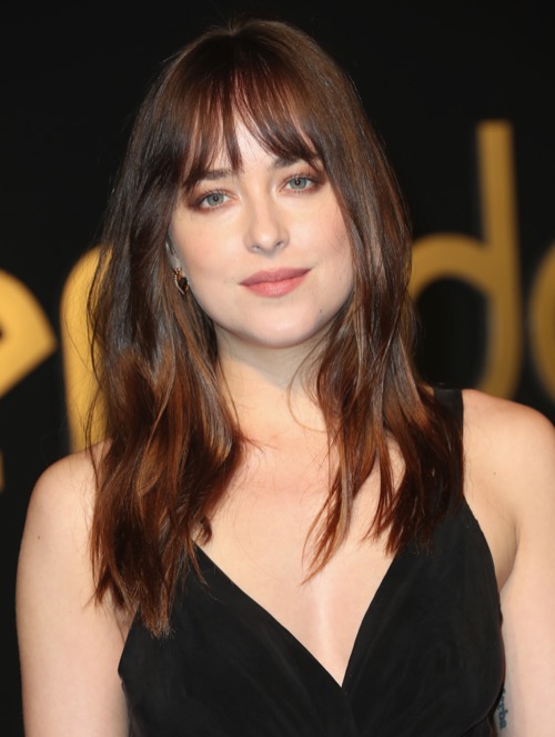 Fifty Shades Freed Spoilers: Jamie Dornan and Dakota Johnson Take Dark Turn in Teaser Trailer