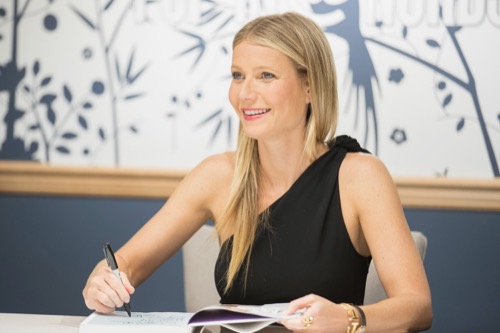 Gwyneth Paltrow Is Not Over The Hate She Gets For Her Goop Brand