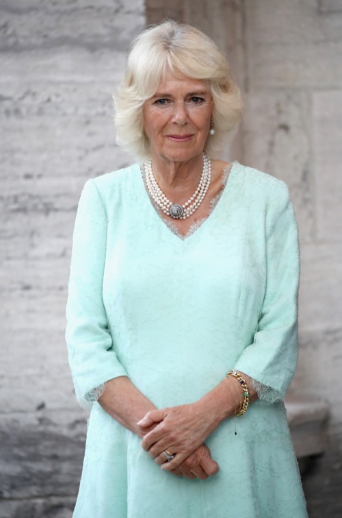Camilla Parker-Bowles Accused Of Butchering Princess Diana’s Memory: Queen Camilla Final Nail in Coffin?