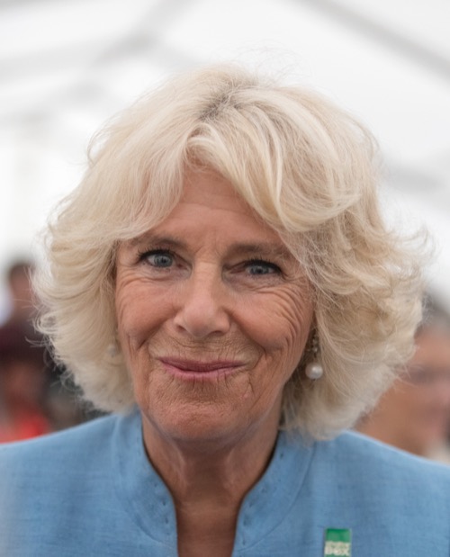 Camilla Parker-Bowles Faces Harsh Reality: Brits Will Never Accept Queen Camilla