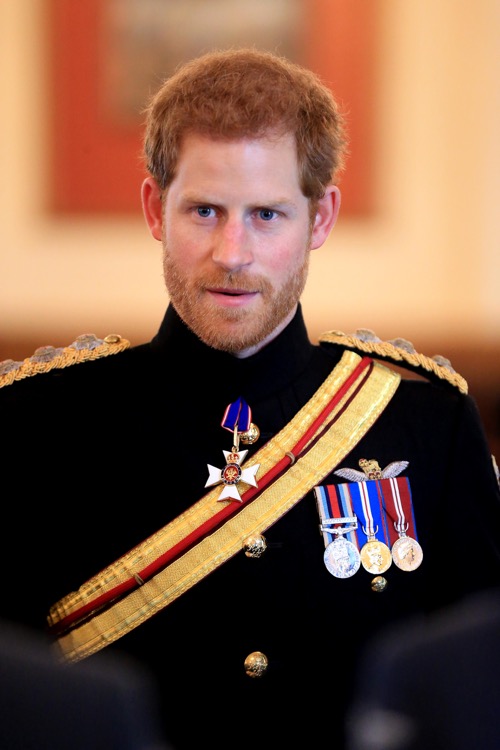 Prince Harry Does Damage Control Over Princess Diana Coffin Remarks: Flip-Flops on Comments