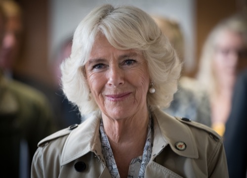 Camilla Parker-Bowles Sees New Royal Ally in Meghan Markle: Two Outsiders?