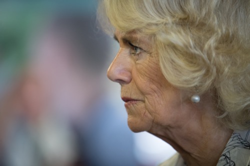Camilla Parker-Bowles Appalled: Princess Diana’s Personal Items On Display at Buckingham Palace