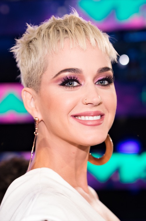 American Idol Delayed: Producers Scrambling To Find Celebrities To Join Katy Perry On Judges’ Panel