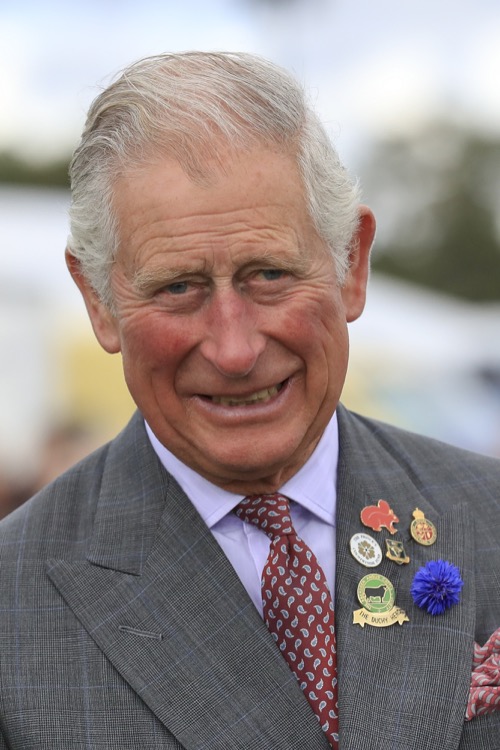 British Viewers Turned Off By Prince Charles: Slammed For Appearance in BBC Home Renovation Series