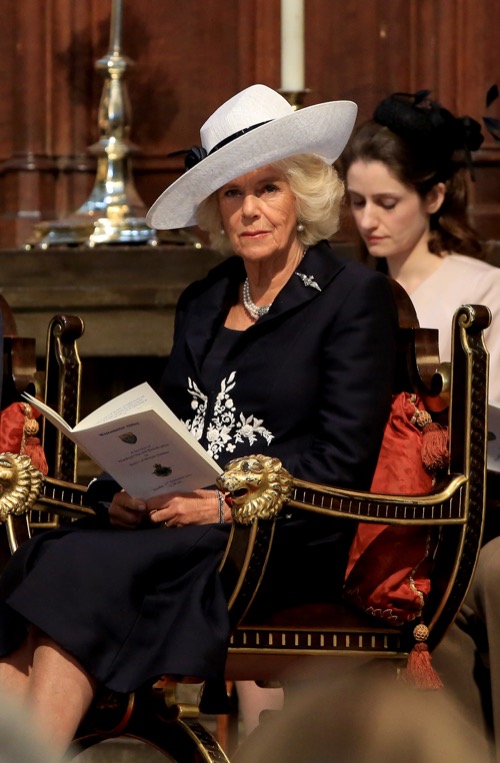 Camilla Parker-Bowles Seduced Prince Charles Because of Husband Andrew Parker-Bowles Affair With Princess Anne