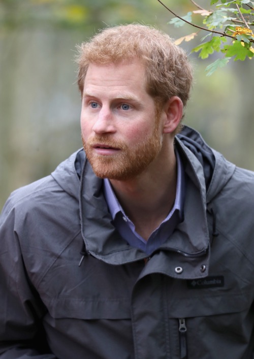 Prince Harry and Meghan Markle’s Wedding Postponed to 2018