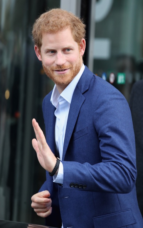 Prince Harry Delights Fans in Copenhagen: Royal Babies On The Mind