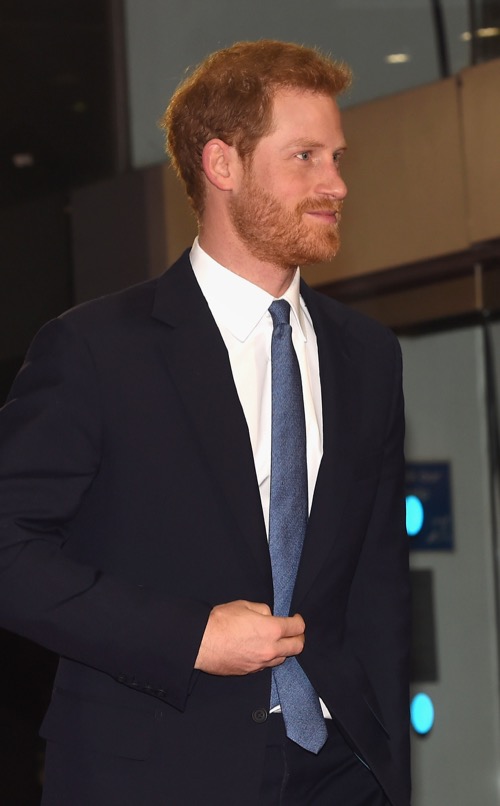 Prince Harry Accused of Breaking Military Rules During Remembrance Day Parade