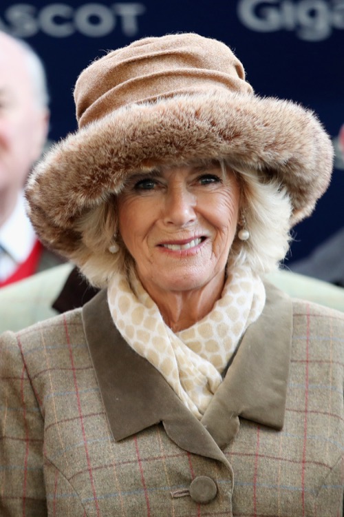 Camilla Parker-Bowles Most Delighted With Prince Harry And Meghan Markle’s Engagement: Gains New Royal Ally