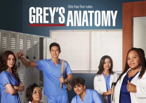 Grey’s Anatomy: Series Regular Exit News, Will There Be More?