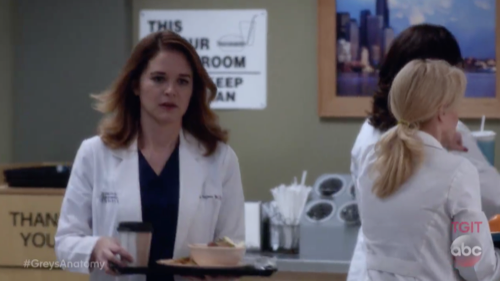 Grey’s Anatomy Recap 2/16/17: Season 13 Episode 13 “It Only Gets Much Worse”