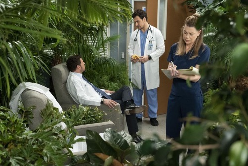 Grey’s Anatomy Recap 03/21/19: Season 15 Episode 18 “Add It Up”