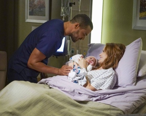 Grey’s Anatomy Premiere Recap – Alex Confessed: Season 13 Episode 1 “Undo”