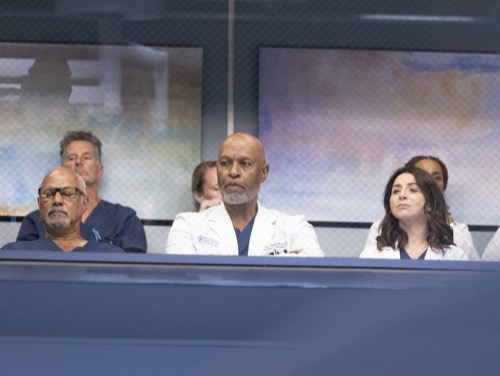 Grey’s Anatomy Premiere Recap 10/06/22: Season 19 Episode 1 “Everything has Changed”