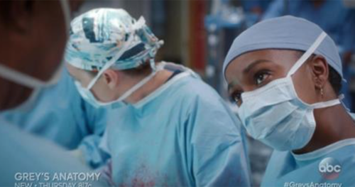 Grey’s Anatomy Recap 11/10/16: Season 13 Episode 8 “The Room Where It Happens”