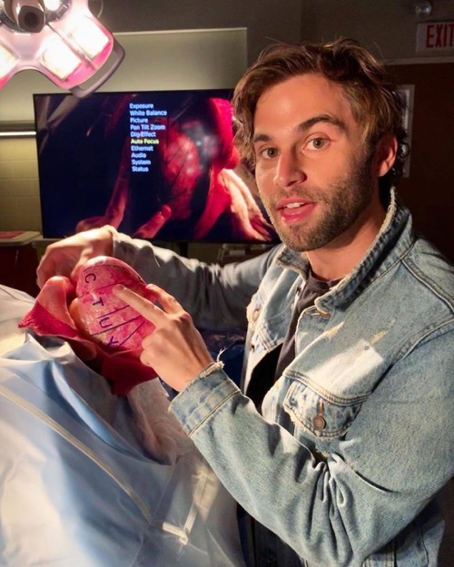 Grey’s Anatomy Recap 11/07/19: Season 16 Episode 7 “Papa Don’t Preach”