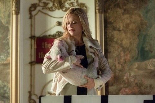 Grimm Recap- A Litter of Big Bad Wolves: Season 4 Episode 5 “Cry Luison”