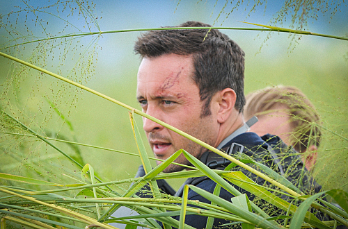 Hawaii Five-0 Recap – The Bird Flu and the Bees: Season 5 Episode 13 “La Po’ino”