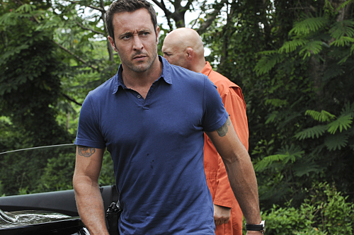 Hawaii Five-0 Recap – Feel the Burn:  Season 6 Episode 2 “Lehu a Lehu”