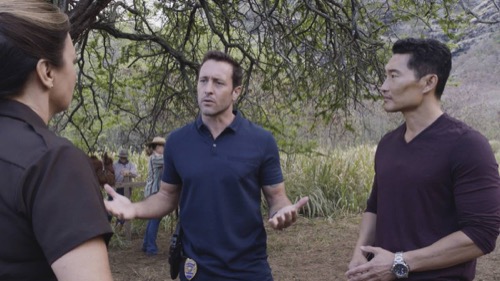 Hawaii Five-0 Recap 2/10/17: Season 7 Episode 16 “Poniu I Ke Aloha (Crazy in Love)”