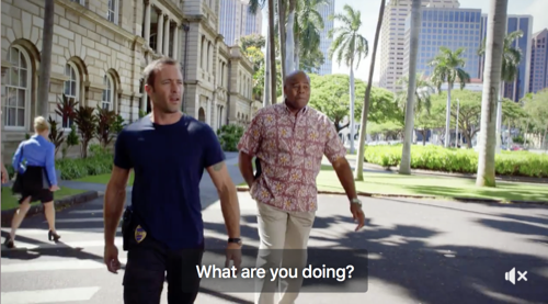 Hawaii Five-0 Recap 10/6/17: Season 8 Episode 2 “Na La ‘Ilio (Dog Days)”