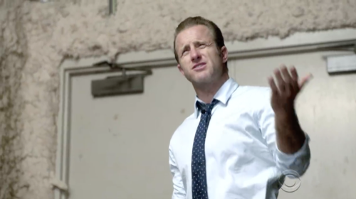 Hawaii Five-0 Recap 11/11/16: Season 7 Episode 8 “Hana Komo Pae”