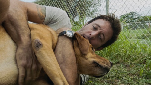 Hawaii Five-0 Recap 01/31/20: Season 10 Episode 14