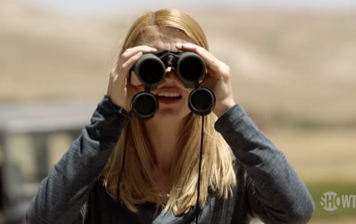 Homeland Recap 04/05/20: Season 8 Episode 9 “In Full Flight”