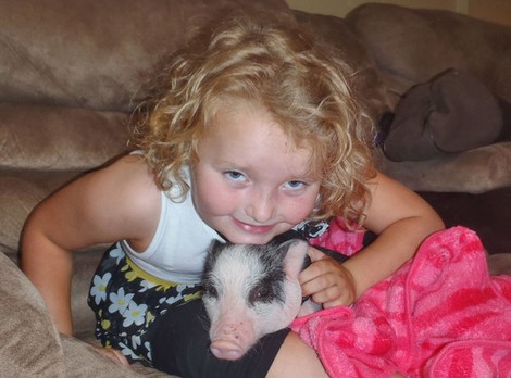 Is Honey Boo Boo’s Mother June Shannon Abusing A Little Pig Called Glitzy?