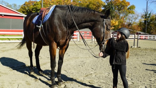 I Am Shauna Rae Recap 02/01/22: Season 1 Episode 4 “Get Off Your High Horse”