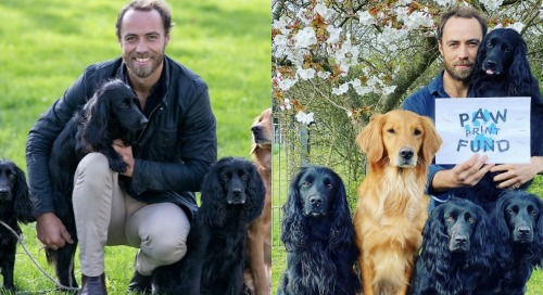James Middleton Shares Bittersweet News – Kate Middleton’s Brother Loses Puppy, Donates Money To Pet Charity