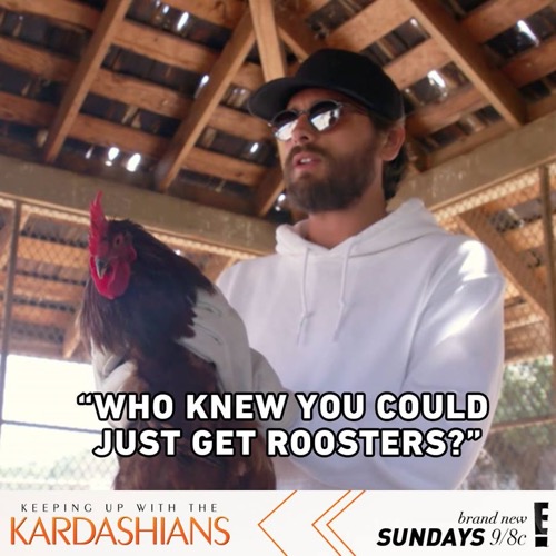 Keeping Up With The Kardashians Recap 6/12/16: Season 12 Episode 6 “The Kardashian Curse”