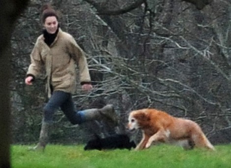 Pippa Middleton And Kate Middleton’s Dog More Fascinating Than Boring Kate Middleton?
