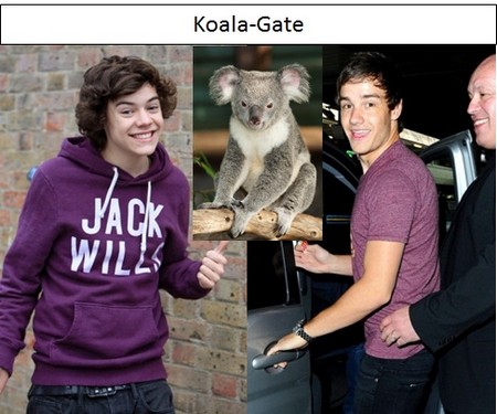 Koala-Gate: One Direction Kissed A Koala And Fear Chlamydia