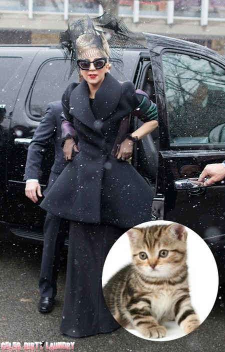 Lady Gaga Leaves Her Pussy Behind For Taylor Kinney When She Tours (Photo)