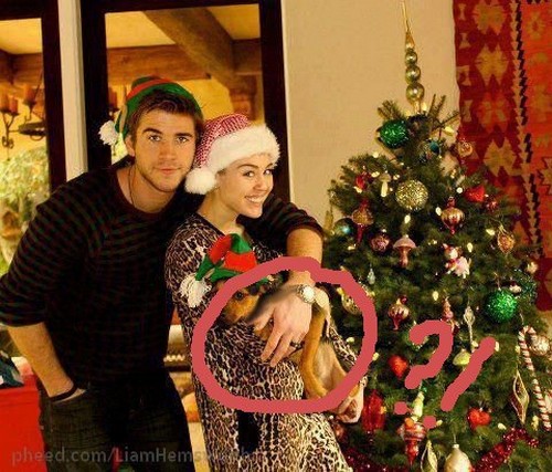 Miley Cyrus and Liam Hemsworth Married? – Couple Display Wedding Bands (Photos)