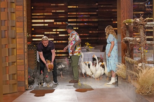 Masterchef Junior Recap 05/19/22: Season 8 Episode 10 “Totally Egg-streme!”