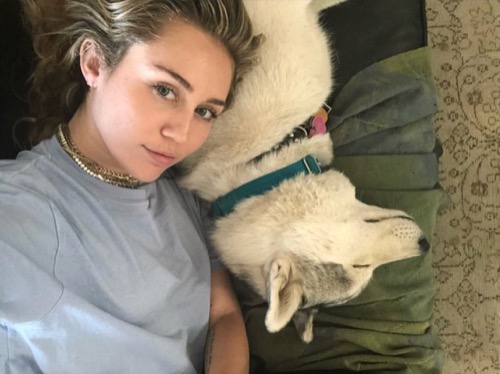 Miley Cyrus Chilling With Her Dog Floyd