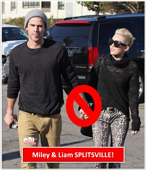 Miley Cyrus and Liam Hemsworth Have Split Up