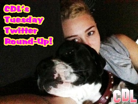 CDL’s Tuesday Celeb Twitter Round-Up: Miley Cyrus Loves her Mary Jane, Rob Kardashian Addresses “Rita Whora” Kerfuffle!