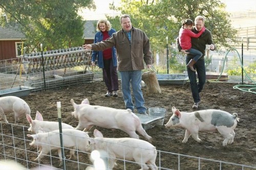 Modern Family RECAP 11/20/13: Season 5 Episode 8 “ClosetCon ’13”