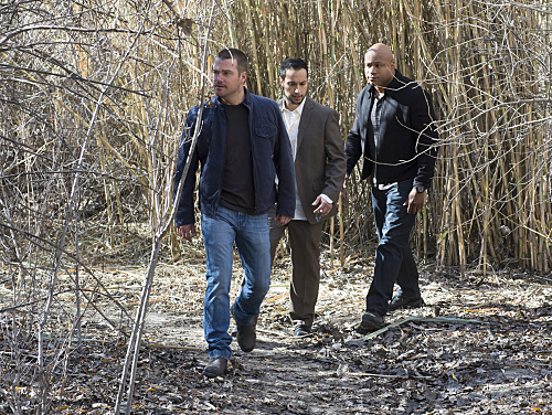 NCIS: Los Angeles Recap – ‘Forest for the Trees’: Season 6 Episode 15