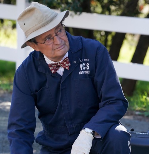 NCIS Recap 03/10/20: Season 17 Episode 17 “In A Nutshell”