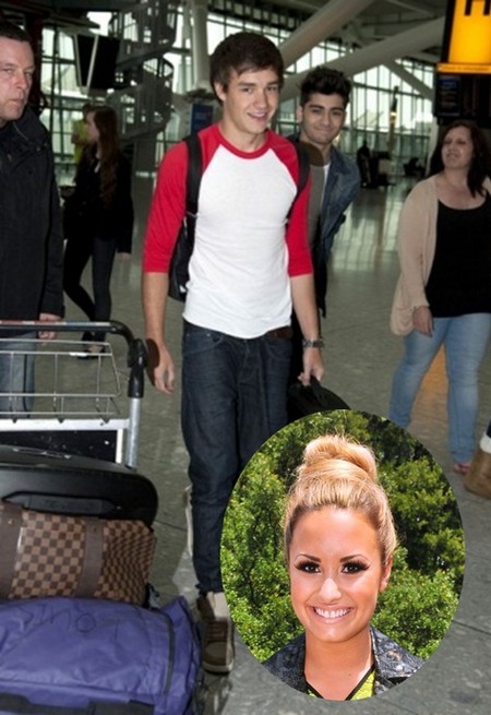 One Direction’s Niall Horan Moving to US for Demi Lovato