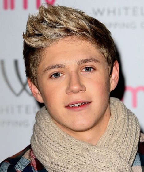One Direction’s Niall Horan’s Partying is Out of Control