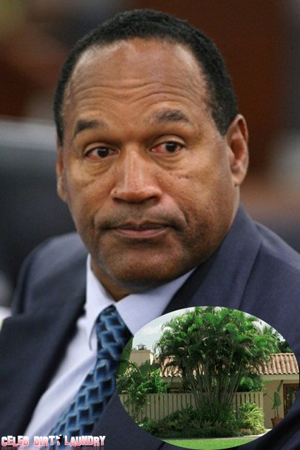 O.J. Simpson’s Ex-Girlfriend Busted For Drugs And Blames Him