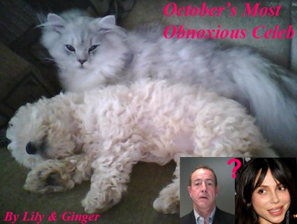 Who Wins CDL’s October’s Most Obnoxious Celeb?